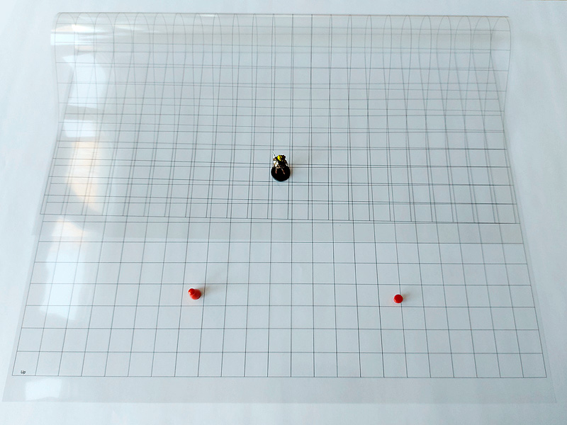 Clear DnD Map